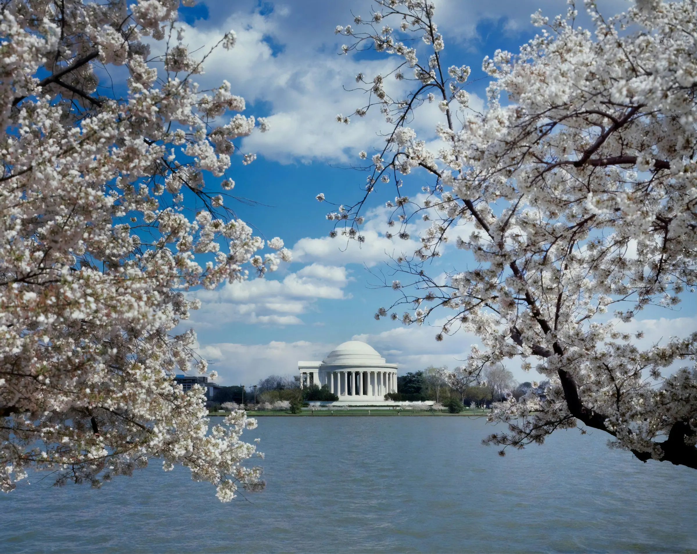 The Jefferson Memorial across the Tidal Basin
